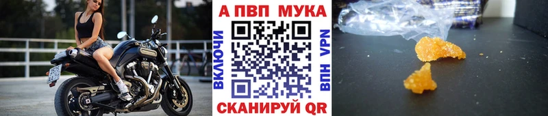 Альфа ПВП СК  Дмитровск 
