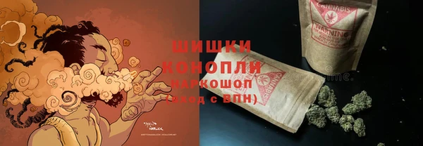 прущие грибы Абинск
