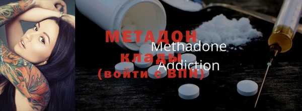 прущие грибы Абинск