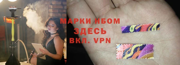прущие грибы Абинск